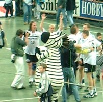 Jubel bei den Zebras nach dem tollen Kraftakt.