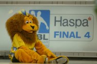 Der Kr�sti-L�we am Boden.