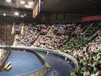 Stimmung wie im Fu�ballstadion: gr�n-wei�e Wand im Hovet.