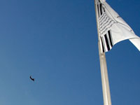 Der THW Kiel im Anflug.