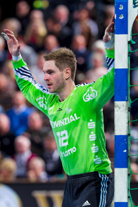 Andreas Palicka spielte gegen Neuhausen eine starke Partie.