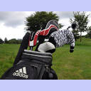 Auftakt-Golfen in Hohwacht 2012.