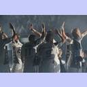 Die Zebras laufen ein.