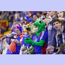 WM 2013: FRA-TUN: Franz�sische Fans.