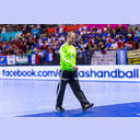 WM 2013: FRA-ARG: Thierry Omeyer.